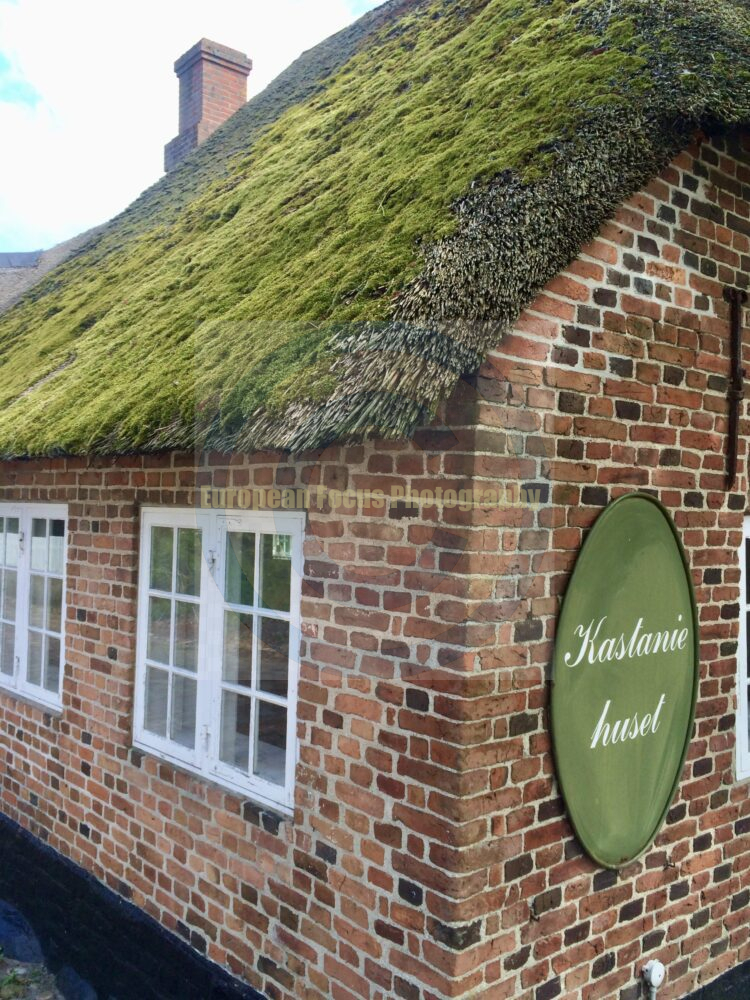 Hoejer Thatched Roof Cottage