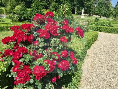 Château de Bussy-Rabutin