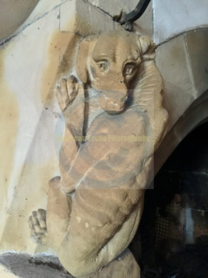 Gröditzburg / Grodziec Castle