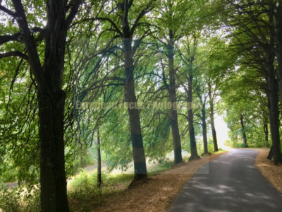 Nowa Wieś Grodziska / Gross Neudorf / Neudorf bei Glogau