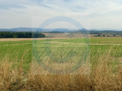 Nowa Wieś Grodziska / Gross Neudorf / Neudorf bei Glogau