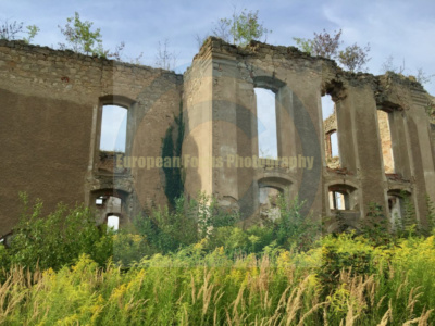 Twardocice - Harpersdorf