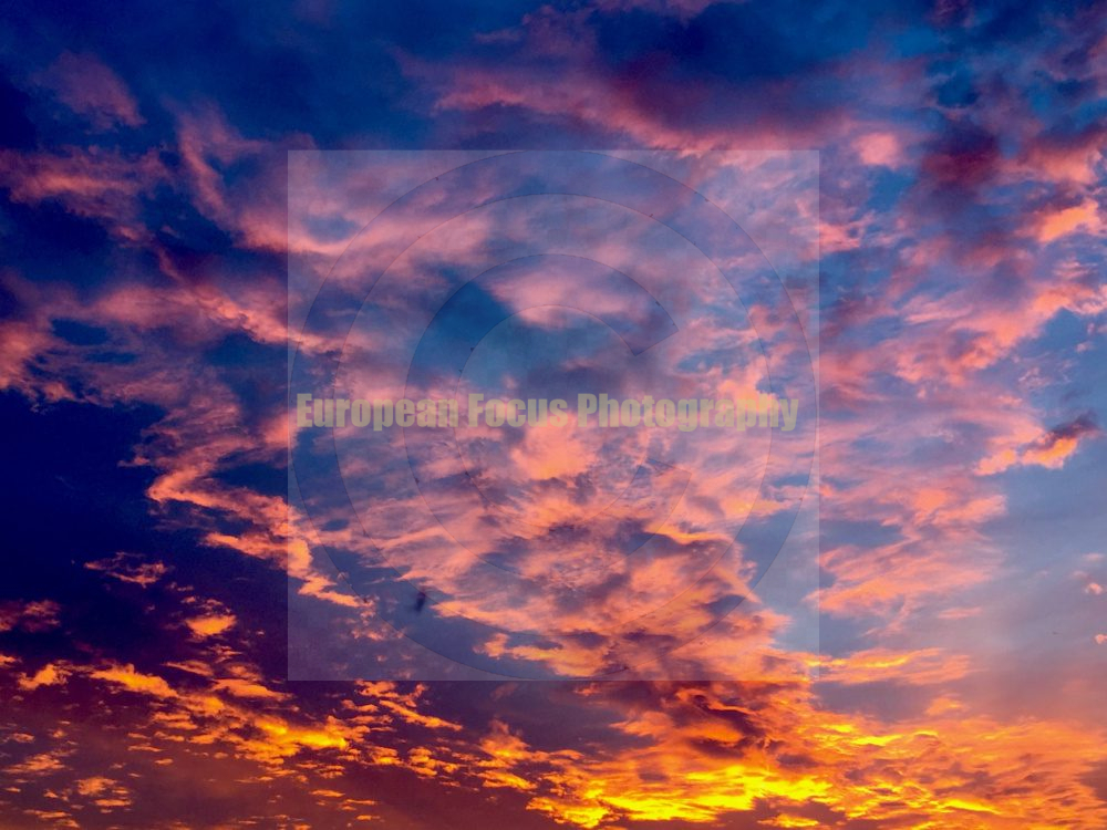 Lueneburg / Lüneburg