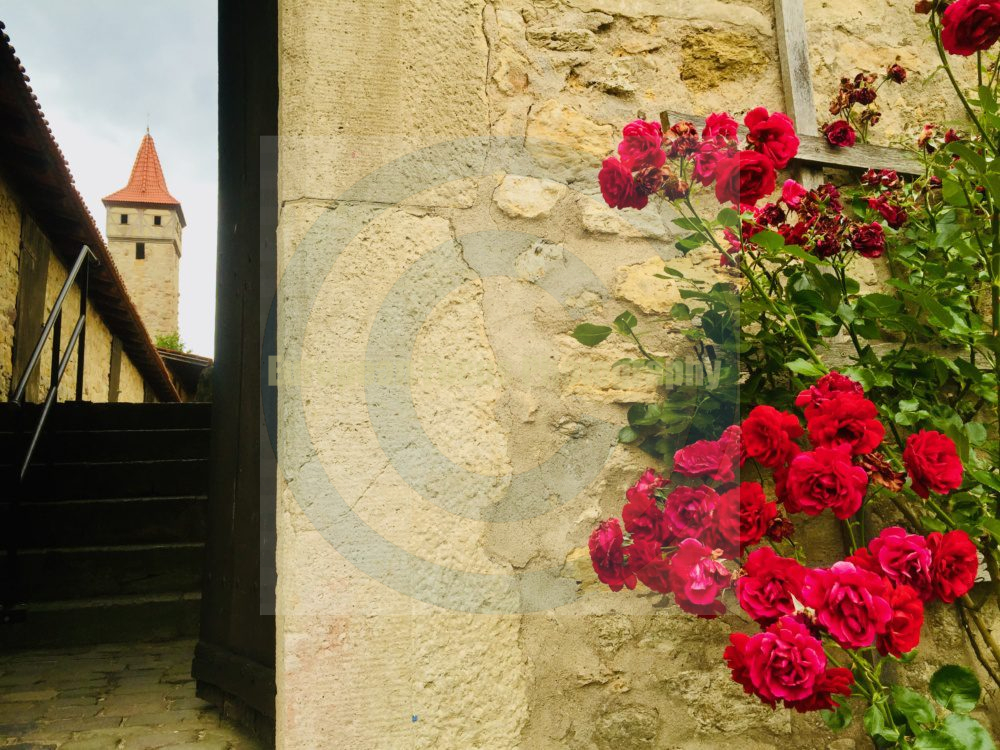 Ostheim vor der Rhön