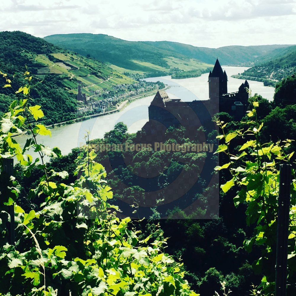 Bacharach