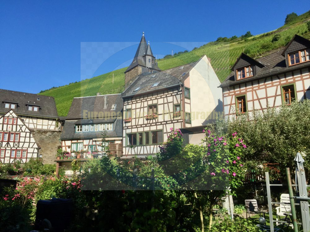 Bacharach
