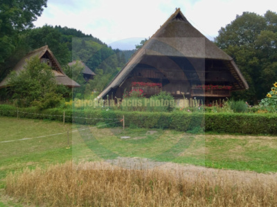 Black Forest Open Air Museum