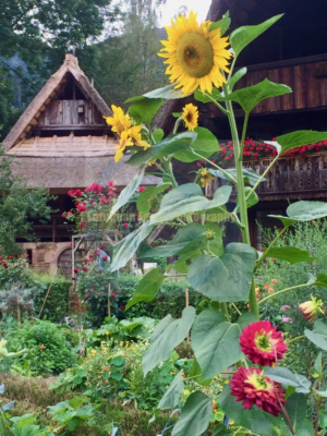 Black Forest Open Air Museum