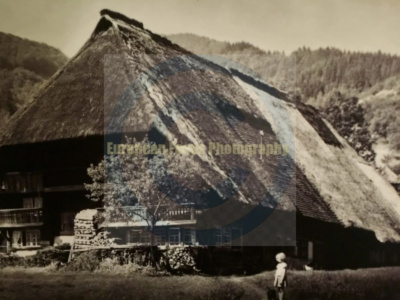 Black Forest Open Air Museum