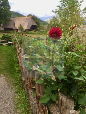Black Forest Open Air Museum
