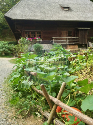 Black Forest Open Air Museum