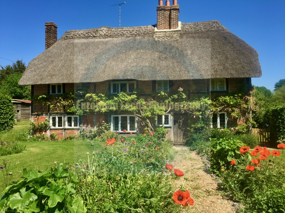 Tichborne