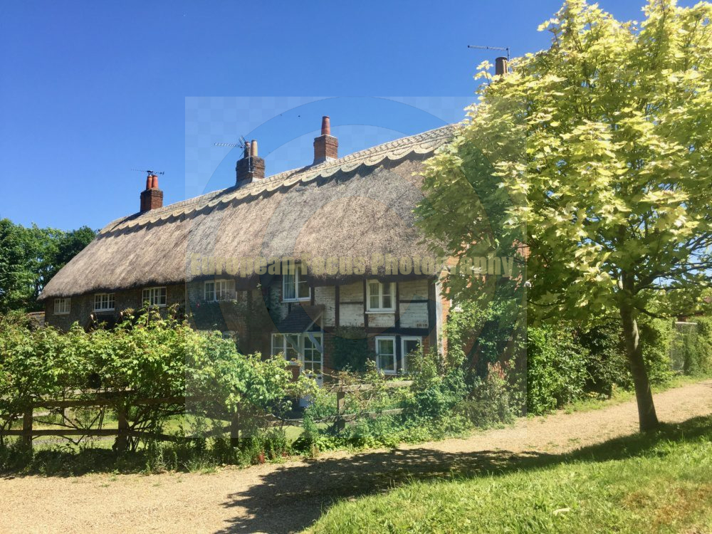 Tichborne