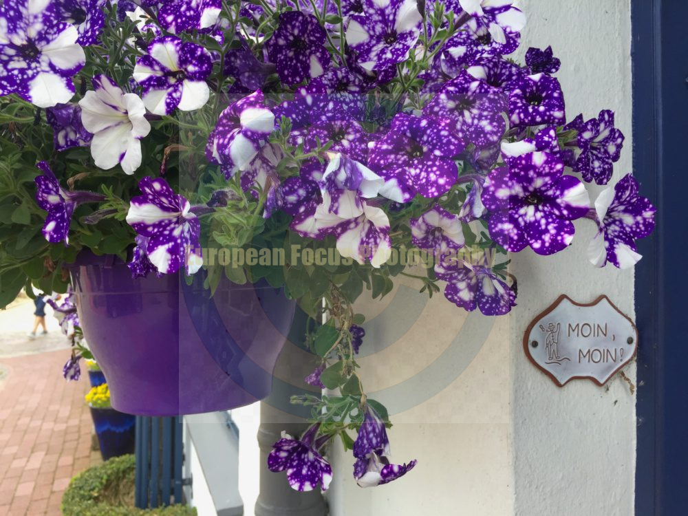 Schleswig / Holm Fishing Village