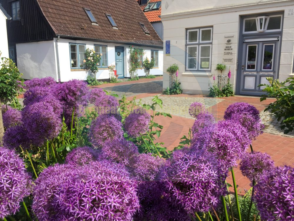 Schleswig / Holm Fishing Village