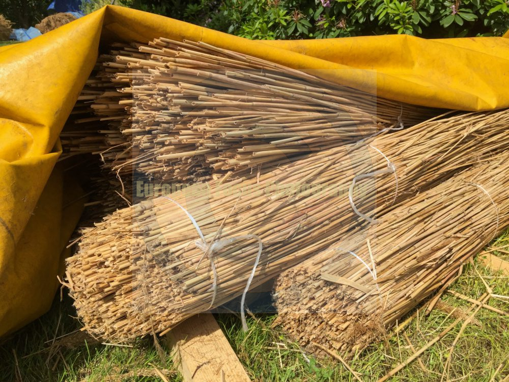 Schleswig / Holm Fishing Village