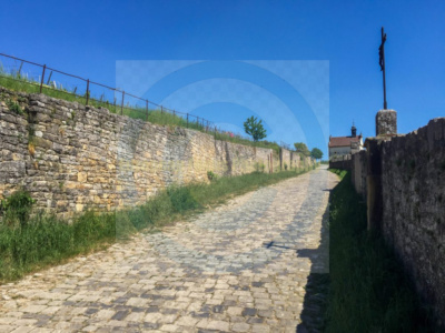 Frickenhausen am Main