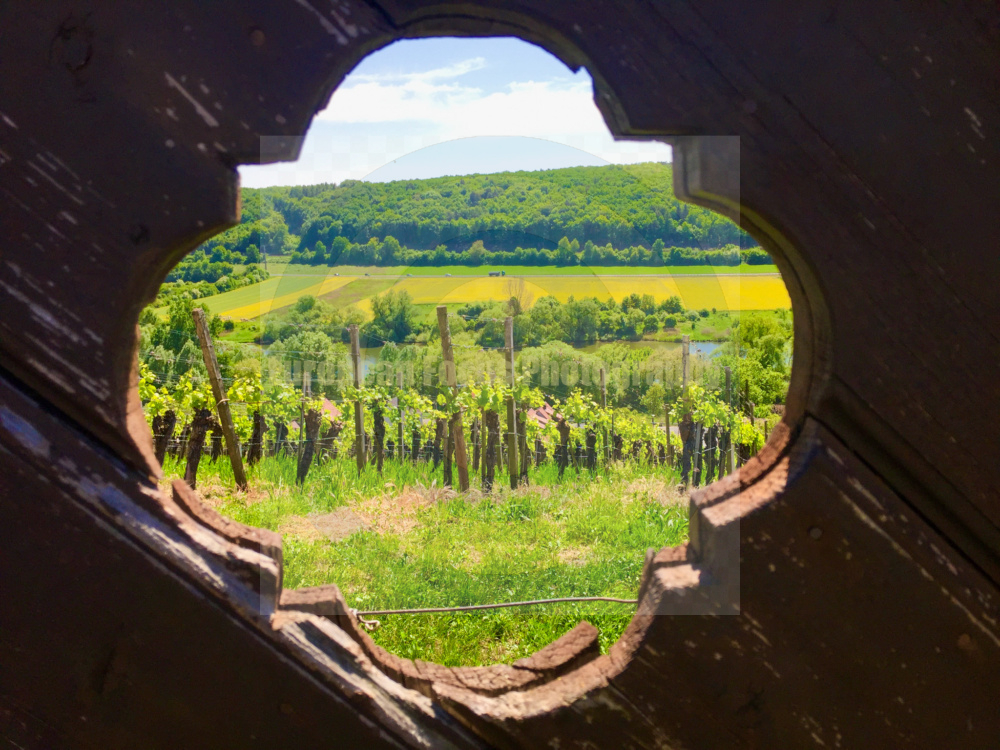 Frickenhausen am Main