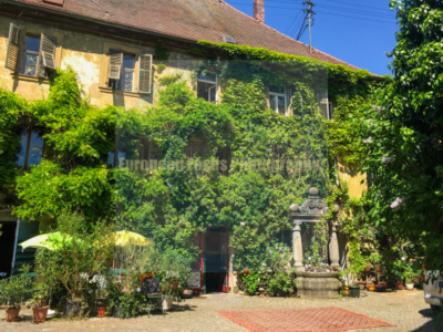 Frickenhausen am Main