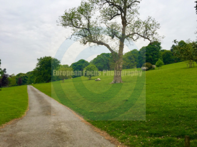 Bryneglwys / Plas yn Yale