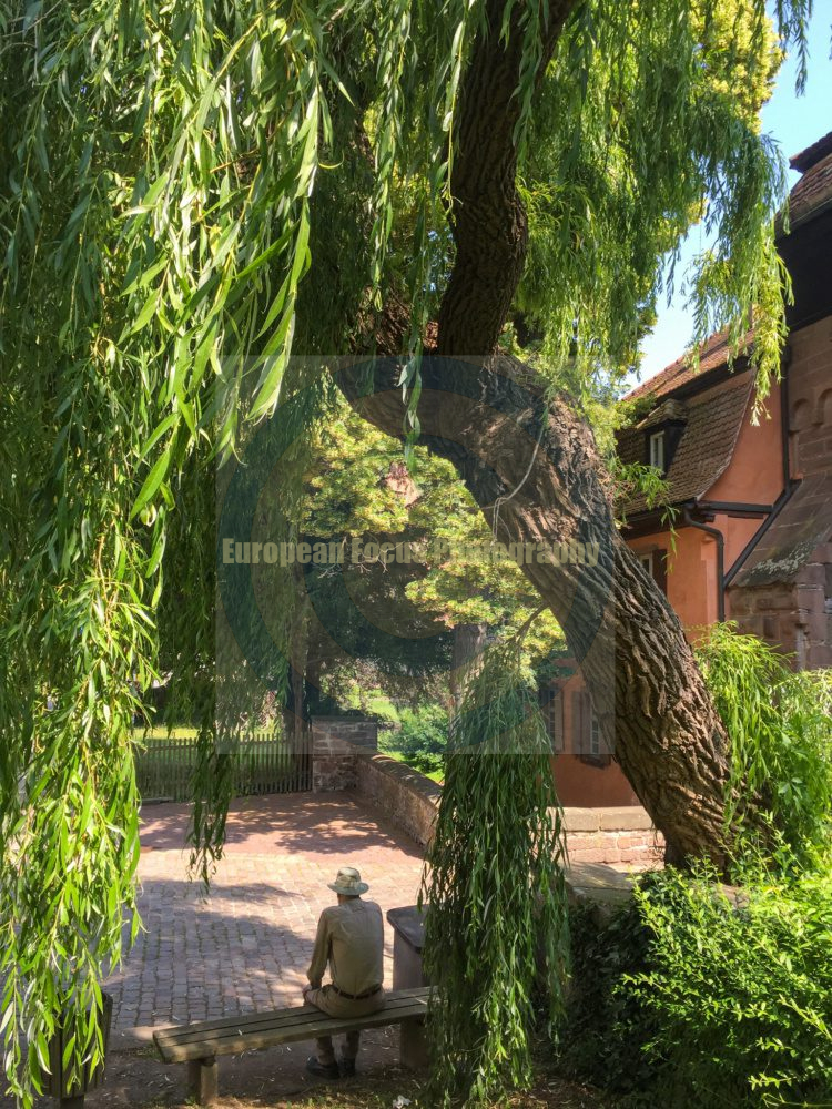 Maulbronn Monastery