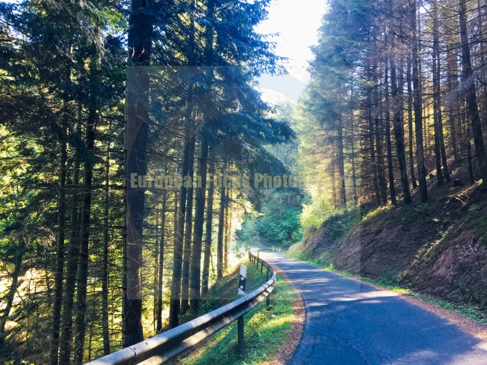 Niedermanderscheid