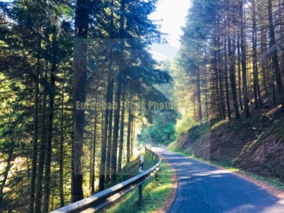 Niedermanderscheid