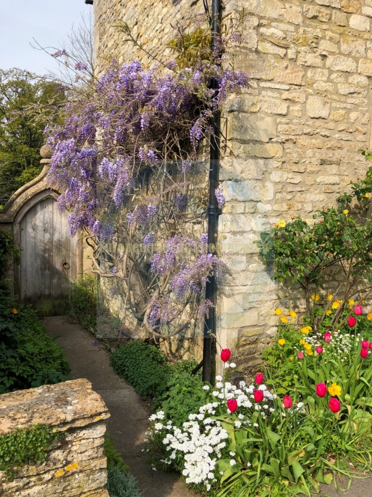 Castle Combe