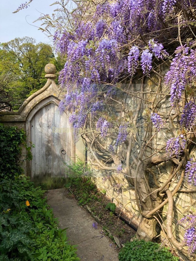 Castle Combe
