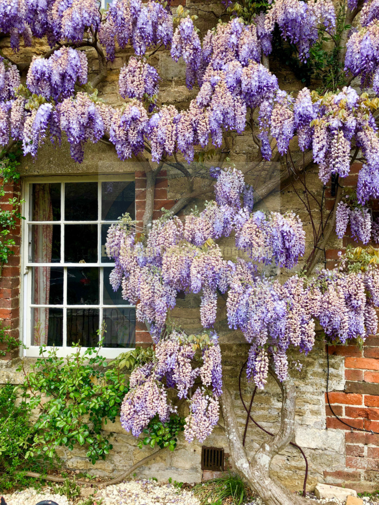Castle Combe