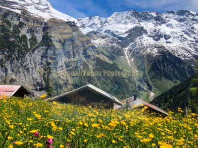 Gimmelwald