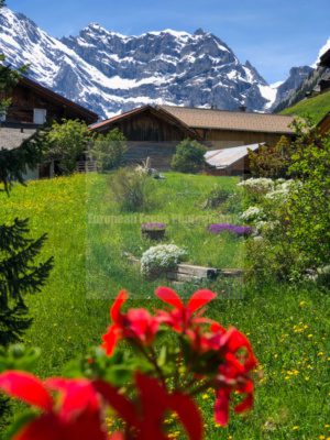 Gimmelwald